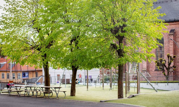 st-sunniva-skole-katolsk-barne-og-ungdomsskole-i-oslo